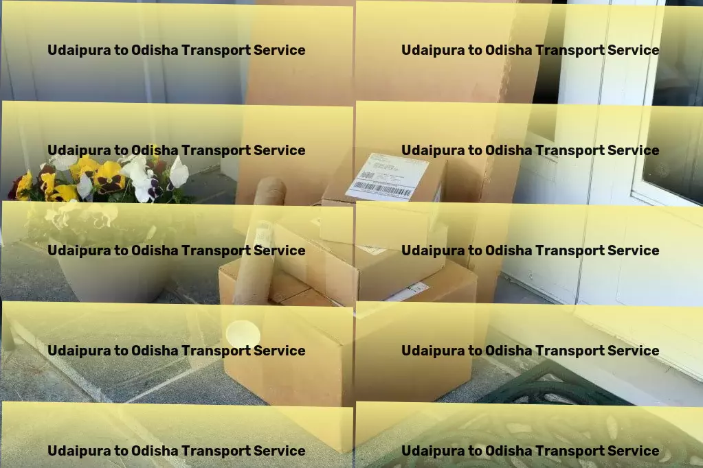 Udaipura to Odisha Luggage Courier Specialized freight delivery